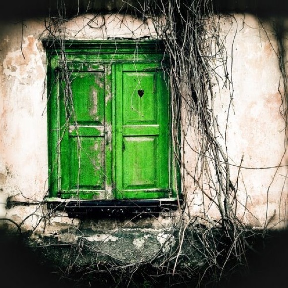 Meet your Posher, Amber - Picture 1 of 1